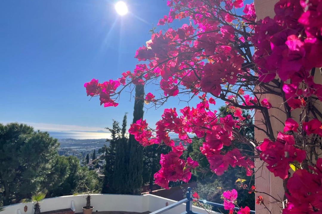 Photo of Others in Benahavis