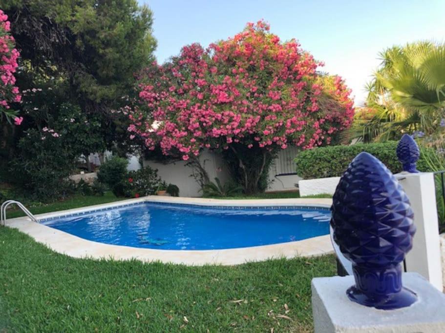 Photo of Outdoor in Benalmadena Costa