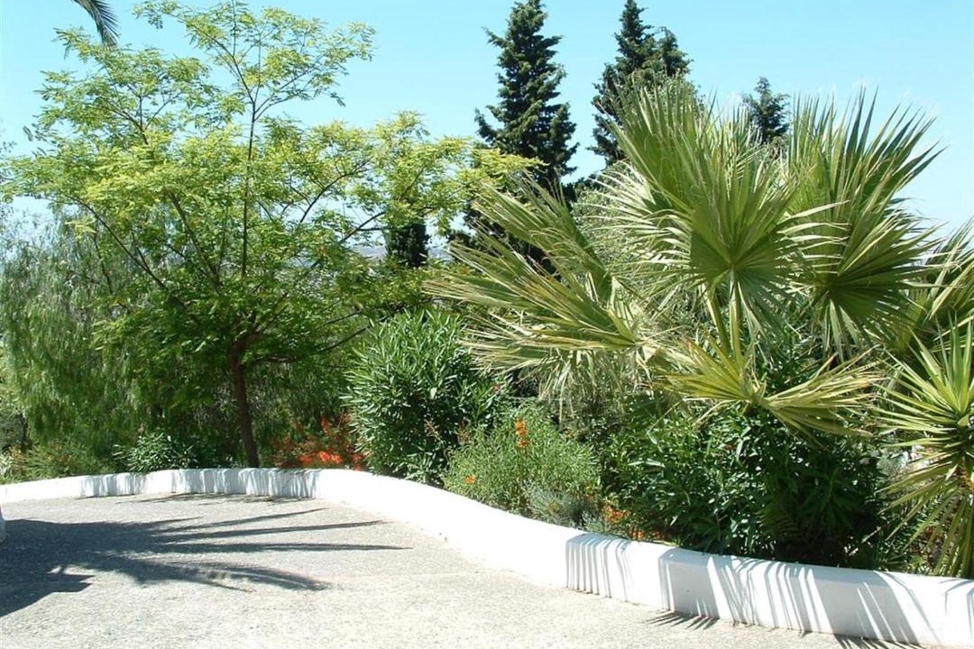 Photo of Others in Mijas