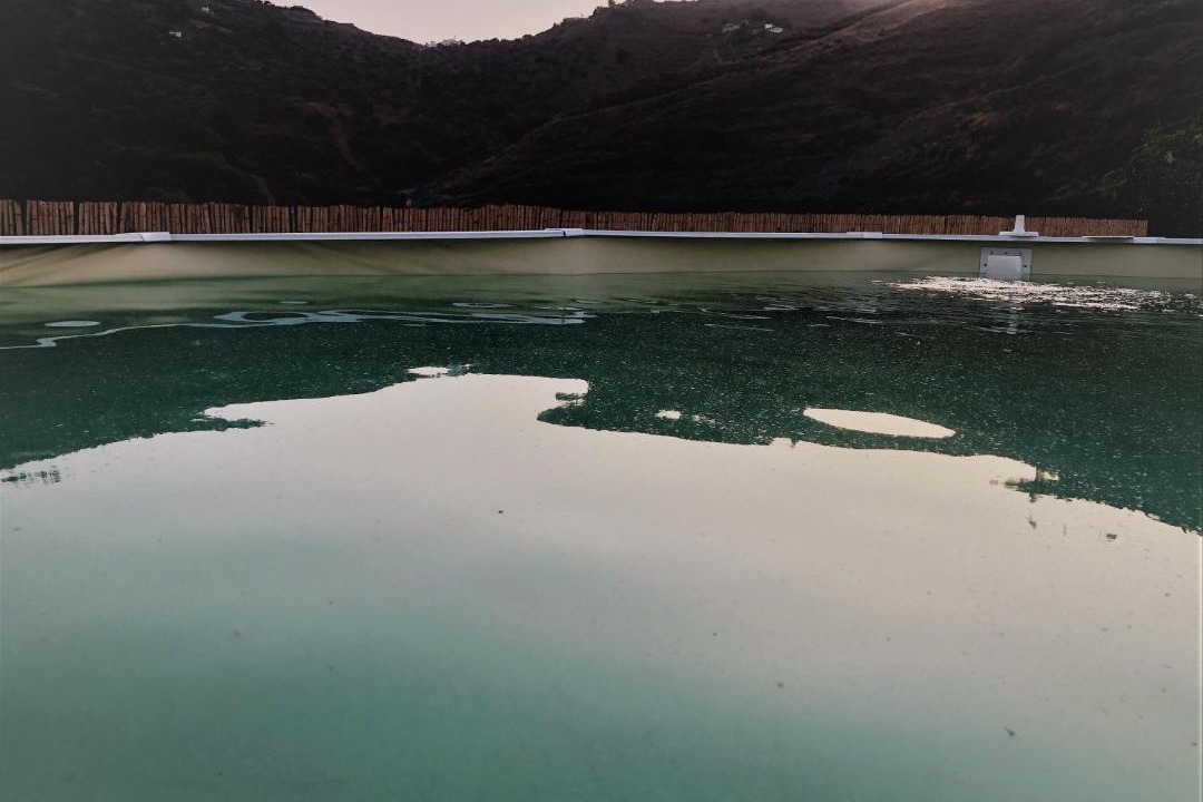 Photo of Outdoor in Torrox
