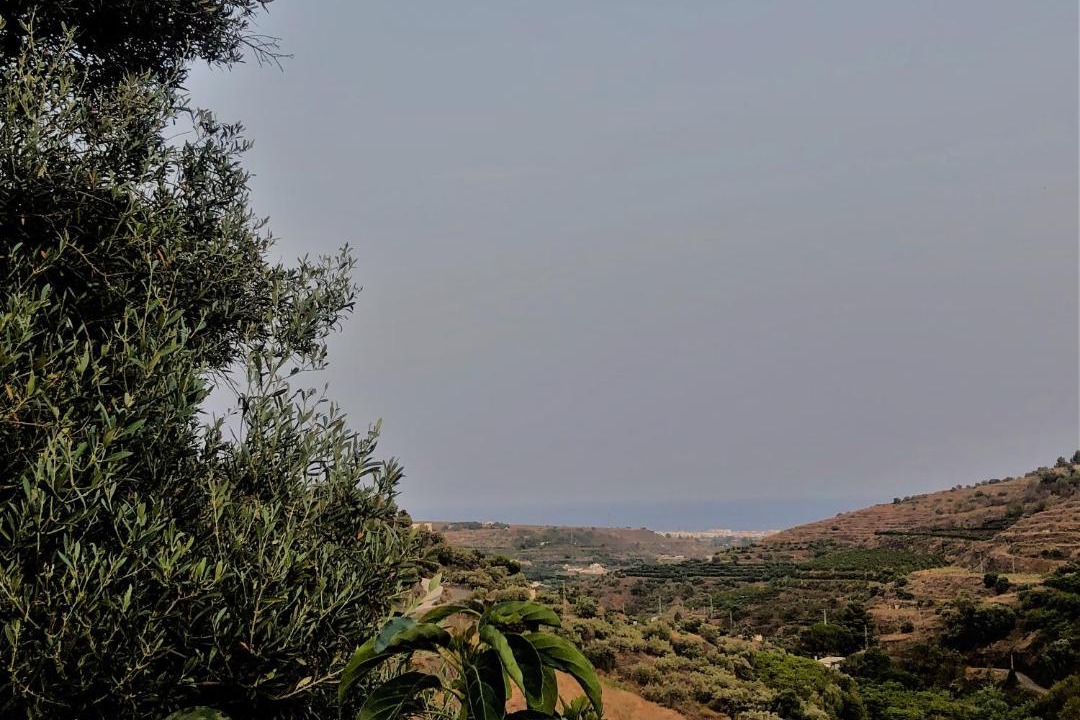 Photo of Outdoor in Torrox