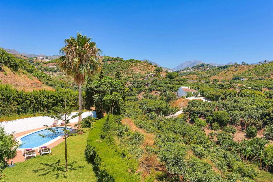 Photo of Outdoor in Frigiliana