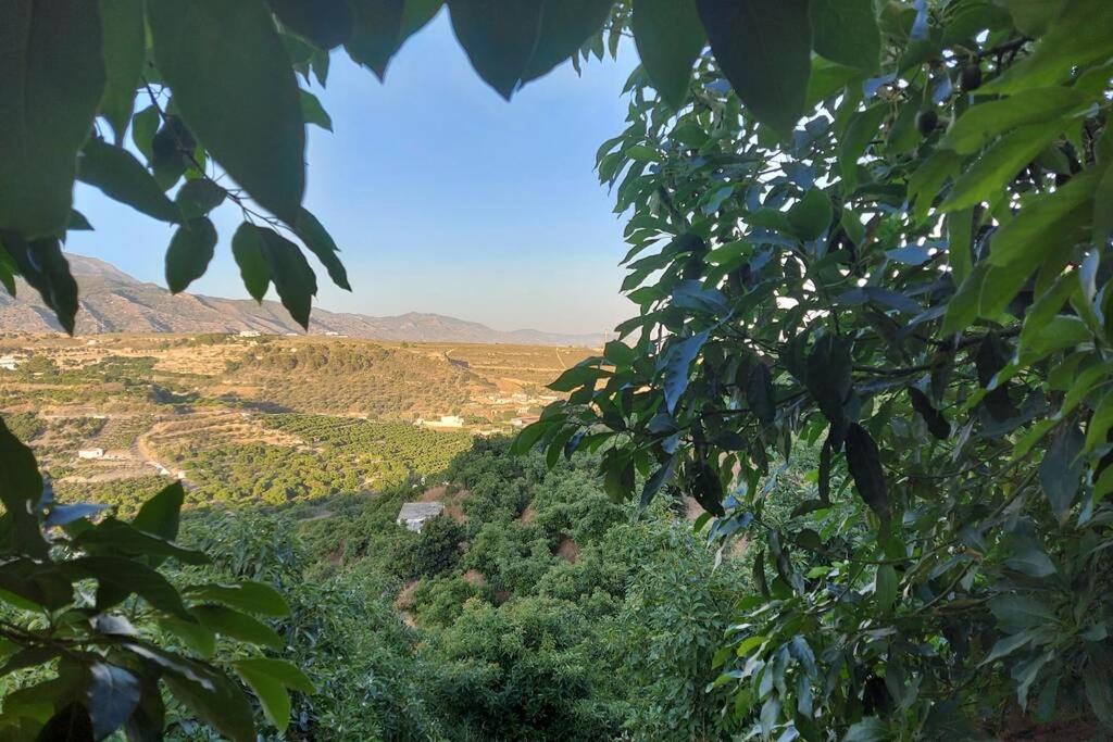 Photo of Outdoor in Frigiliana