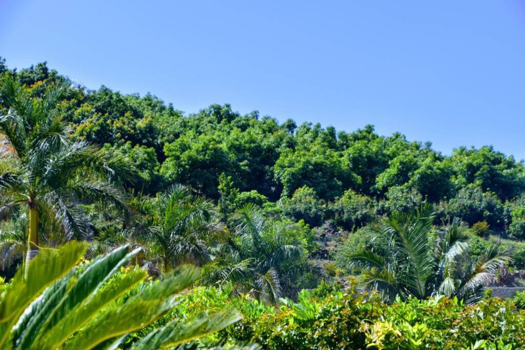 Photo of Others in Frigiliana
