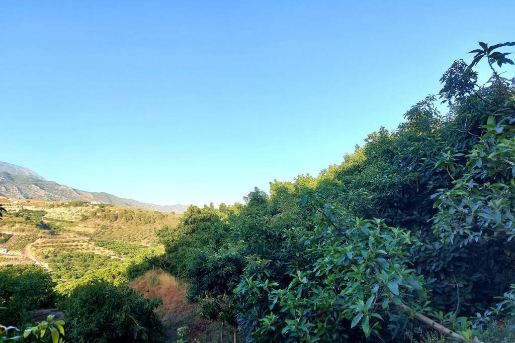 Photo of Outdoor in Frigiliana