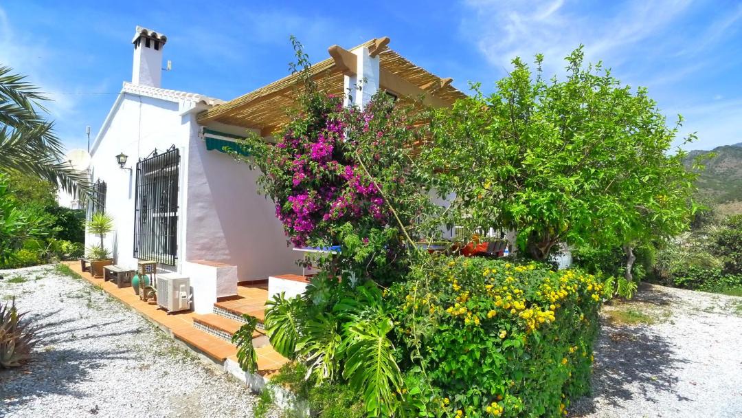 Photo of Others in Frigiliana