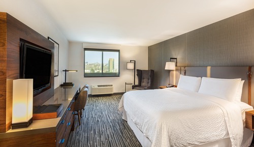 Traditional Room, 1 King Bed (Mobility/Hearing Accessible, Tub)