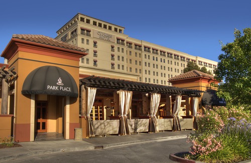 Cupertino Hotel | Juniper Hotel Cupertino, Curio Collection by Hilton